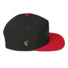 RH Logo Color Block Flat Bill Cap - Image 6