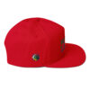 RH Logo Color Block Flat Bill Cap - Image 10