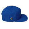 RH Logo Color Block Flat Bill Cap - Image 8