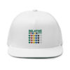 Share the Love Flat Bill Cap