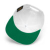 Share the Love Flat Bill Cap - Image 5